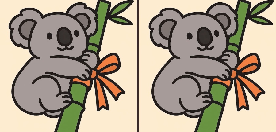 Τεστ παρατηρητικότητας, διαφορές, κοάλα