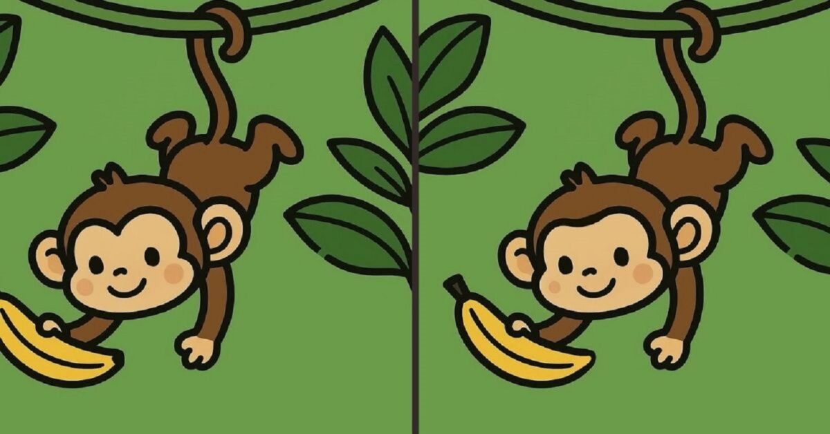 Τεστ παρατηρητικότητας, διαφορές, Μαϊμού