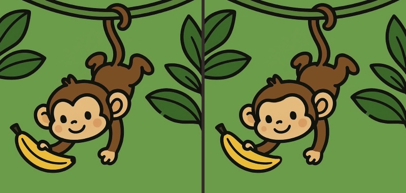 Τεστ παρατηρητικότητας, διαφορές, Μαϊμού