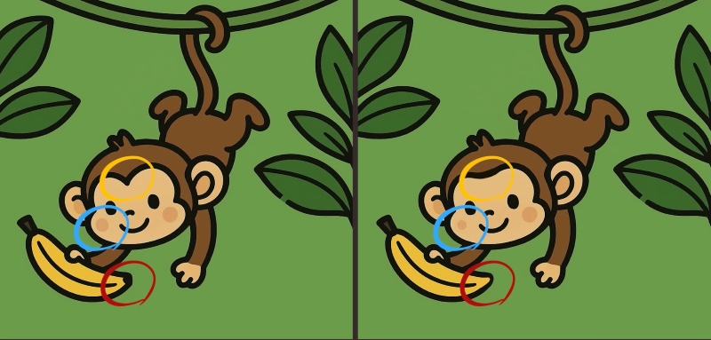 Τεστ παρατηρητικότητας, διαφορές, Μαϊμού