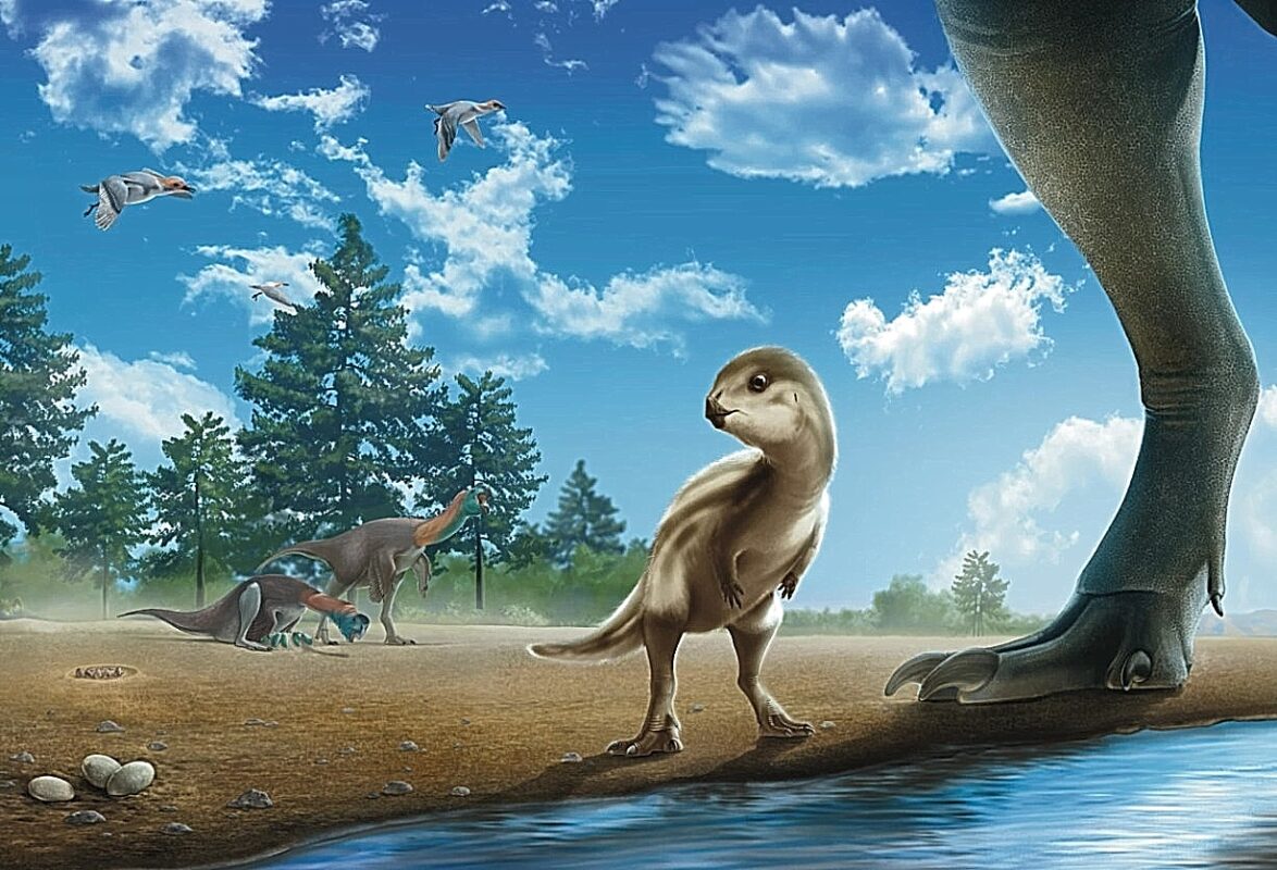 Doolysaurus