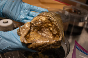 Μια μυστηριώδης «χρυσή σφαίρα» εντοπίστηκε στον βυθό – Τώρα οι επιστήμονες ξέρουν επιτέλους τι είναι