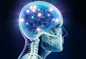 Επιστήμονες ανακάλυψαν γονίδιο που ξεκλειδώνει τη θεραπεία για την αυτο-αποκατάσταση του εγκεφάλου