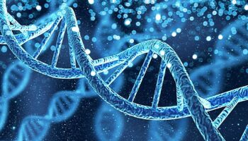 Νέα έρευνα: Το DNA σας μπορεί να προβλέψει τη μελλοντική σας επιτυχία περισσότερο από την ανατροφή σας