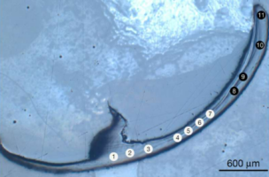 Bio-μέταλλα: Μυστήριο με τα σαγόνια αρχαίου θαλάσσιου σκουληκιού – Μπορεί να κρύβουν το μυστικό για ένα super-υλικό του μέλλοντος