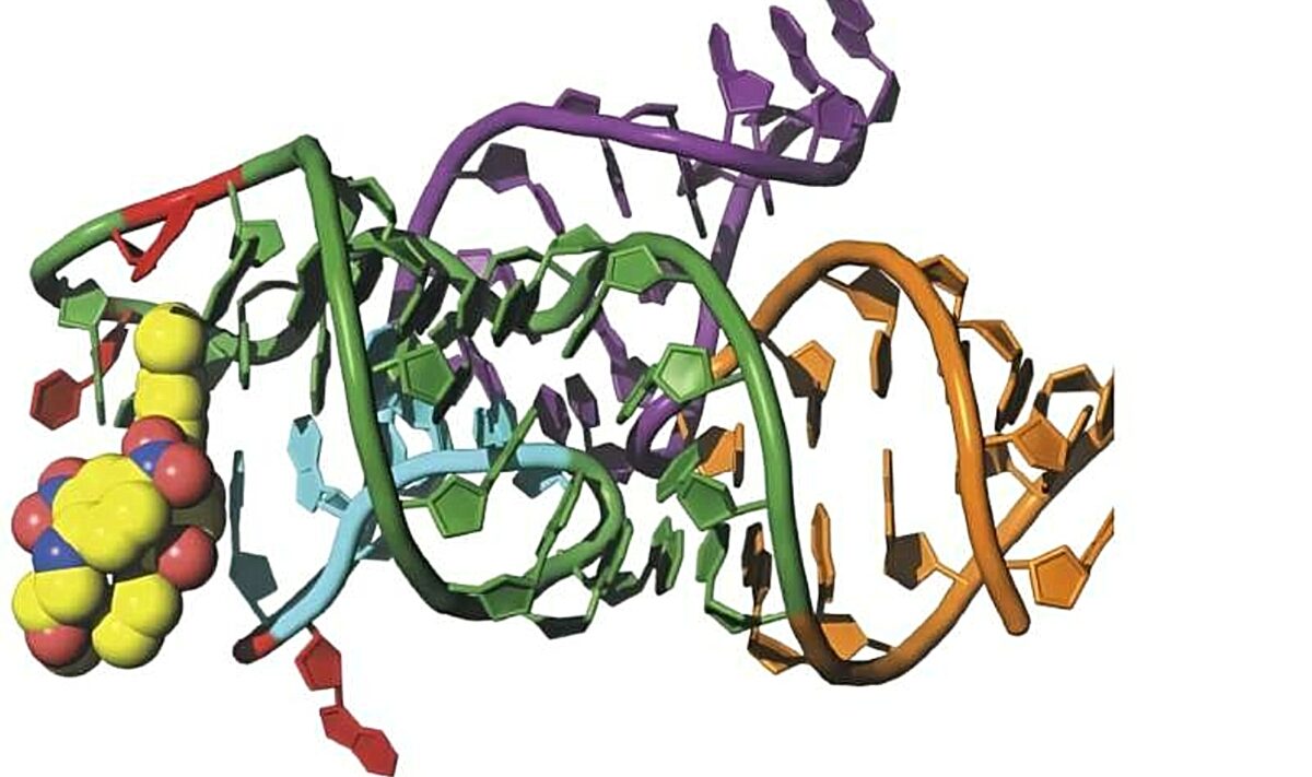 Αλλαγή ενός νουκλεοτιδίου RNA ενεργοποιεί φθορίζουσες χρωστικές